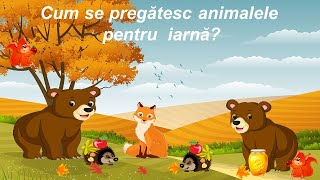 Cum se pregătesc animalele pentru iarnă  Hibernarea animalelor Iarna în pădure [upl. by Esenaj]