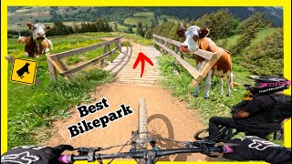 Best Bikepark EVER  Wiriehorn Weryhorny Trail😱💯  GoPro 11 [upl. by Heidi533]