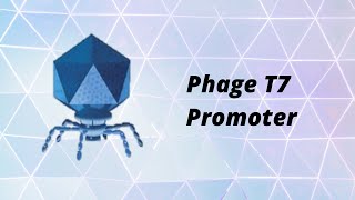 Phage T7 promoter [upl. by Mahgem841]