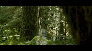 Blackmagic Pocket Cinema Camera 4K ‘Nature’ [upl. by Itaws81]