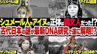 【総集編】シュメールやマチュピチュは日本人がつくった？アイヌやサンカは縄文人？最新研究で明らかになる古代日本の謎がヤバイ【衝撃】 [upl. by Konstantine]