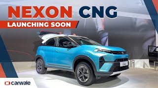 Tata Nexon CNG  Turbo Petrol SUV with Low Running Costs  Bharat Mobility Expo 2024 [upl. by Drummond982]