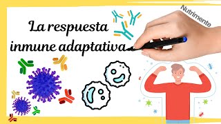 La respuesta inmune ADAPTATIVA [upl. by Nnylyma]