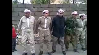 Barzani traditional dance kurdish folklore [upl. by Ellekcim]