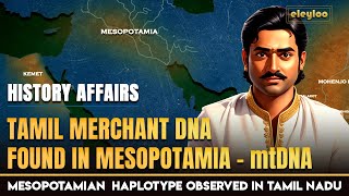 Tamil Civilization  Tamil Merchants DNA in Ancient Mesopotamia  History of Tamil People  eleyloo [upl. by Elaweda]