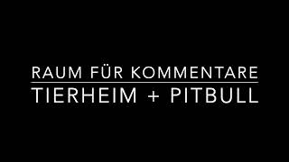 Zeitlose Hundetherapie trainiert im Tierheim und kritisiert PitbullHalter [upl. by Weingarten844]