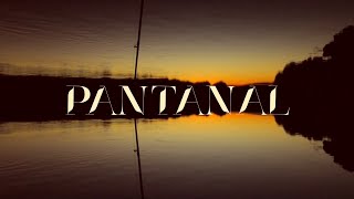 PANTANAL 2022  abertura remake [upl. by Uthrop]