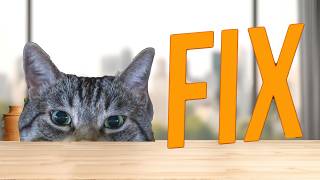 Stop that annoying cat meowing FIX  cat repellent [upl. by Fagin]