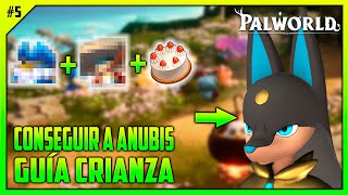 👑 Cómo CONSEGUIR a ANUBIS GUÍA de CRIANZA 5  Palworld [upl. by Shara]