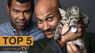 Top 5 Cat Movies [upl. by Euqcaj251]