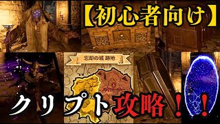 【初心者向け 魔境クリプト 1層の初心者おすすめ箇所別攻略法とおいしい箇所】これは知らないとだいぶ損するレベル【ダークアンドダーカー】【Dark and Darker｜DAD】 [upl. by Enylhsa]