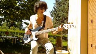 Little Lion Man  Mumford amp Sons Bass Cover [upl. by Dimah]