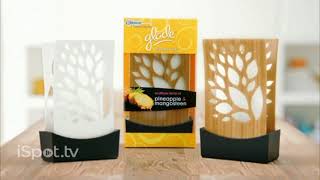 Glade TV Commercial For Expressions Oil Diffusers [upl. by Dacy]