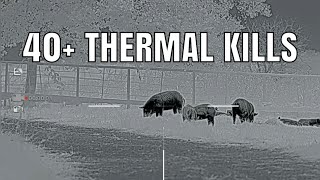 40 THERMAL KILLS [upl. by Gleeson13]