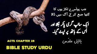 Acts 28  Bible study urdu hindi  Bible reading online  اعمال  Latest masih geet  God is Love [upl. by Dietz]