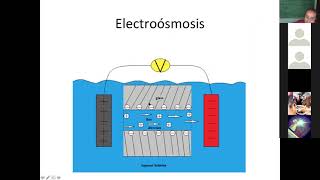 Electrodiálisis y electroósmosis [upl. by Kimberlee]