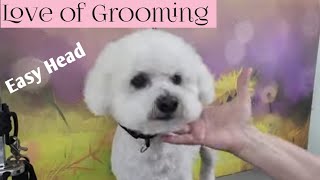 How to quickly trim a pet Bichons Head [upl. by Lehsreh]