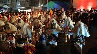 Großes Narrentreffen Weingarten 20 Januar 2024 Weingarten narren deutschland fasnet [upl. by Ahtivak]