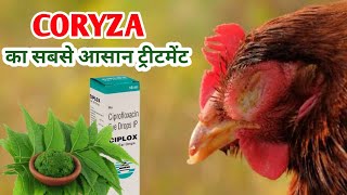 कोराइजा का सबसे आसान ट्रीटमेंट  coryza treatment hindi  deshi murgi farm [upl. by Eyma]