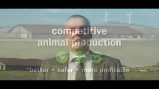 Anco Animal Nutrition Competence on Youtube [upl. by Backler]