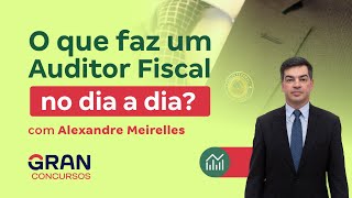 O que faz um Auditor Fiscal no dia a dia Com Alexandre Meirelles [upl. by Anilahs]