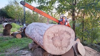 Husqvarna 281xp 2023  first start first cuts muffler mod big wood test and more [upl. by Antonina411]