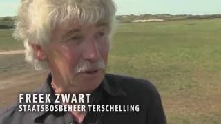 Terschelling Historie en Tourisme [upl. by Rey]