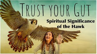 Spiritual Meaning of the Hawk  Trusting Your Intuition [upl. by Demitria]