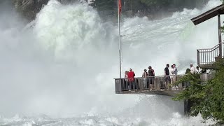 Rheinfall Switzerland Extrem Wasser Sommer 2024  Swiss View [upl. by Kath963]