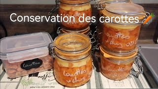 Conservation des carottes en stérilisation et deshydratation [upl. by Edyth]