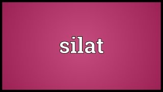 Silat Meaning [upl. by Placia]