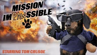 MISSION IMPAWSSIBLE  Funny Wiener Dog Action Movie [upl. by Mihsah534]