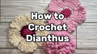 Crochet Next Level Flower Tutorial with 2 Basic Stitches Step by Step Easy Instructions Pattern [upl. by Ahtivak]