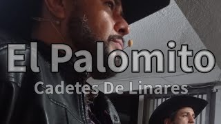 El Palomito  Grupo Infierno Norte [upl. by Phionna]