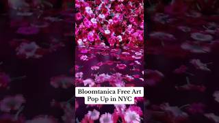 FREE Art Pop Up in New York City 🌸 Bloomtanica 🌸 [upl. by Eceinert]