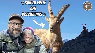 Sur la piste des Bouquetins  Rando avec Maman randonnée rando [upl. by Ahsinal]