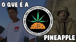 O QUE É A PINEAPPLE HISTORIA [upl. by Willock]