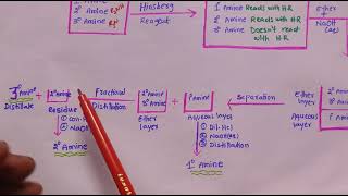 Hinsberg method SEPARATION OF AMINESHinsberg method for Separation of Amines [upl. by Maddox111]