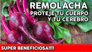 9 Beneficios IMPRESIONANTES de la Remolacha para tu SALUD  Plántala en tu huerta o jardín [upl. by Leavelle]