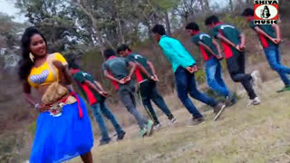 Purulia Song 2022  Jhule Jhule Ache  Biswanath amp Anita Das  Superhit  Manbhum Bangla Song [upl. by Aratal441]