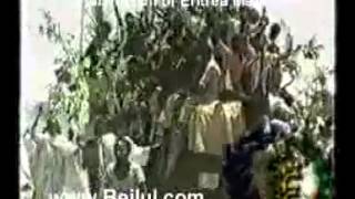 ERITREANvid Subtitled Eritrean LiberationIndependence quotSenay Zebenquot YismeAni Alo [upl. by Doubler]