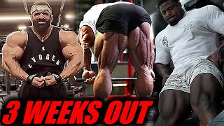 MR OLYMPIA 2024  3 WEEKS OUT  17 Contestants Updates 🔥 [upl. by Azilef]