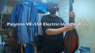 Palatino VE550 Electric Upright Bass [upl. by Perseus]