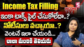 No Income Tax New Income Tax Return Filing 202425 Telugu  Central Buget 202425 Money Management [upl. by Aninahs935]