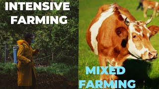 THE CHARACTERISTICS OF INTENSIVE FARMING amp MIXED FARMING [upl. by Peatroy]