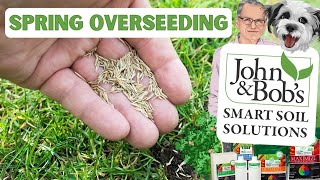 Overseeding Lawn In Spring  Spring Lawn Care [upl. by Kara-Lynn]