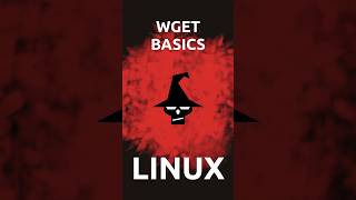 Linux wget Basics [upl. by Sitruc]