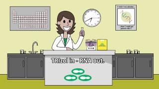 Go from TRIzol to RNA in 7 minutes with Directzol™ [upl. by Zrike]