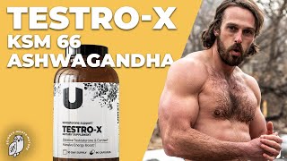 Top Benefits of KSM66 Ashwagandha as a Testosterone Booster Supplement Herb [upl. by Anayeek503]