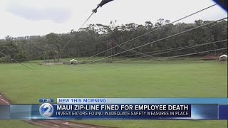 Maui zip line company fined by OSHA [upl. by Flore642]